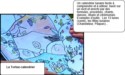 Tortue calendrier 1